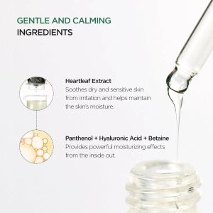 Anua Heartleaf 80% Moisture Soothing Ampoule