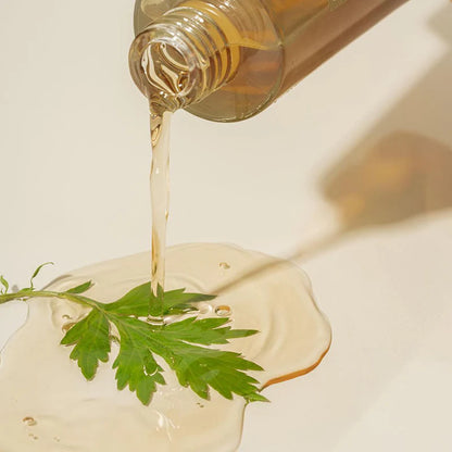 I'm from Mugwort Essence