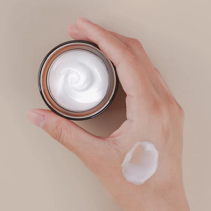 Mizon All In One Snail Repair Cream