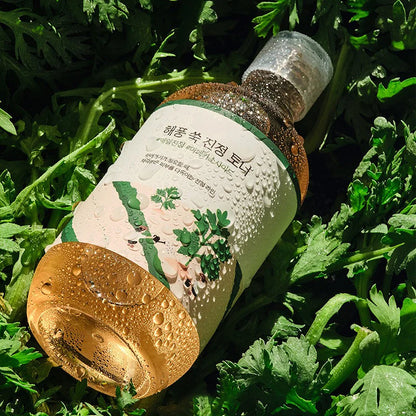 Round Lab Mugwort Toner