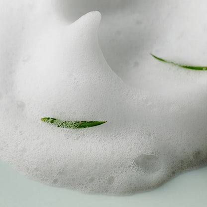 SOME BY MI AHA-BHA-PHA 30 Days Miracle Acne Clear Foam