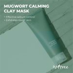 ISNTREE Mugwort Calming Clay Mask