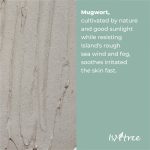 ISNTREE Mugwort Calming Clay Mask