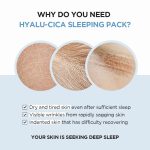 SKIN1004 Madagascar Centella Hyalu-Cica Sleeping Pack