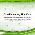 By Wishtrend Blue Oasis Aloe Hydrating Serum