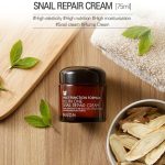 Mizon All In One Snail Repair Cream
