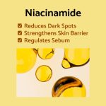 IUNIK Vitamin Hyaluronic Acid Vitalizing Toner