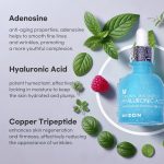 Mizon Hyaluronic Acid 100