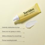 Torriden SOLID-IN Ceramide Lip Essence