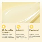 Torriden SOLID-IN All Day Essence