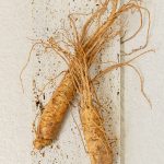 Beauty of Joseon Ginseng Essence Water