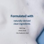 Round Lab Birch Juice Cleanser