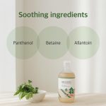 Round Lab Mugwort Toner