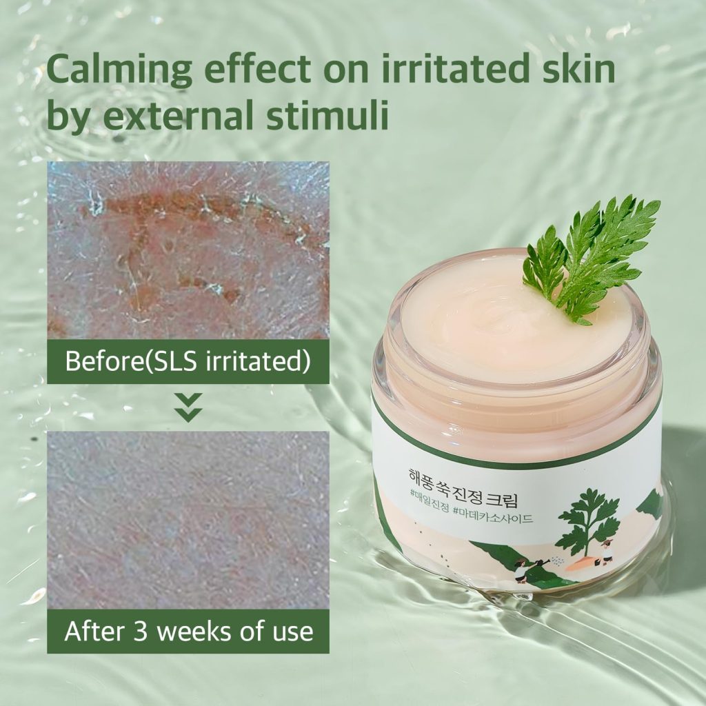 Round Lab Mugwort Cream - Afbeelding 4