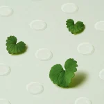 Purito Seoul Wonder Releaf Centella Spot Patch